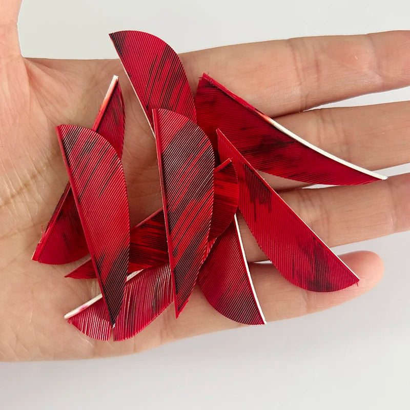 50 Plumillas de pluma de pavo de alas derechas — 2 pulgadas
