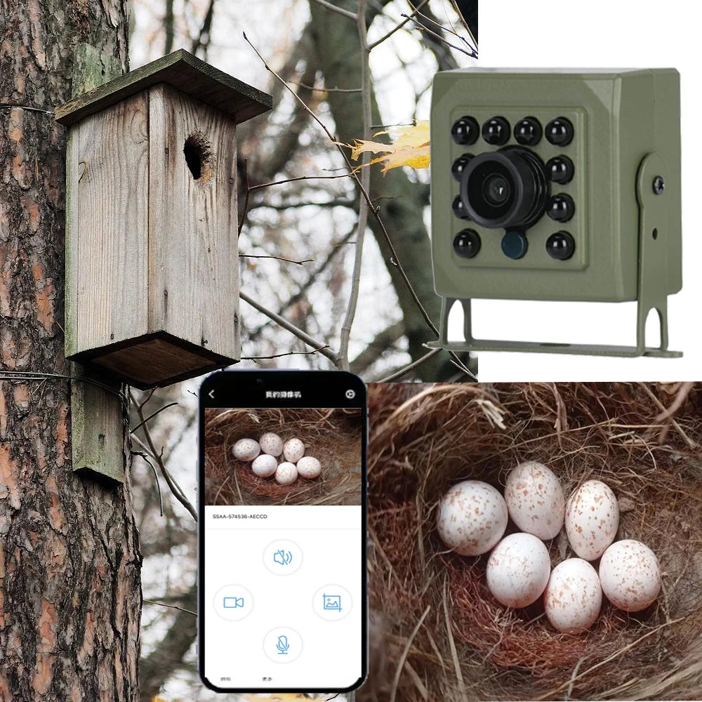 6MP 4MP Tuya Smart Life Bird Watching Camera IR CUT Wireless Indoor Wildr Wifi Birdcage Camera POE IPC Onvif Night Vision Nest