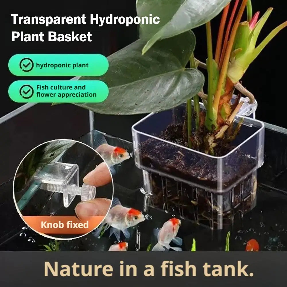 Clear Hanging Aquarium Plant Basket