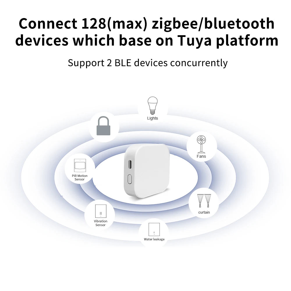 Gateway Tuya - Opzioni Zigbee e Bluetooth