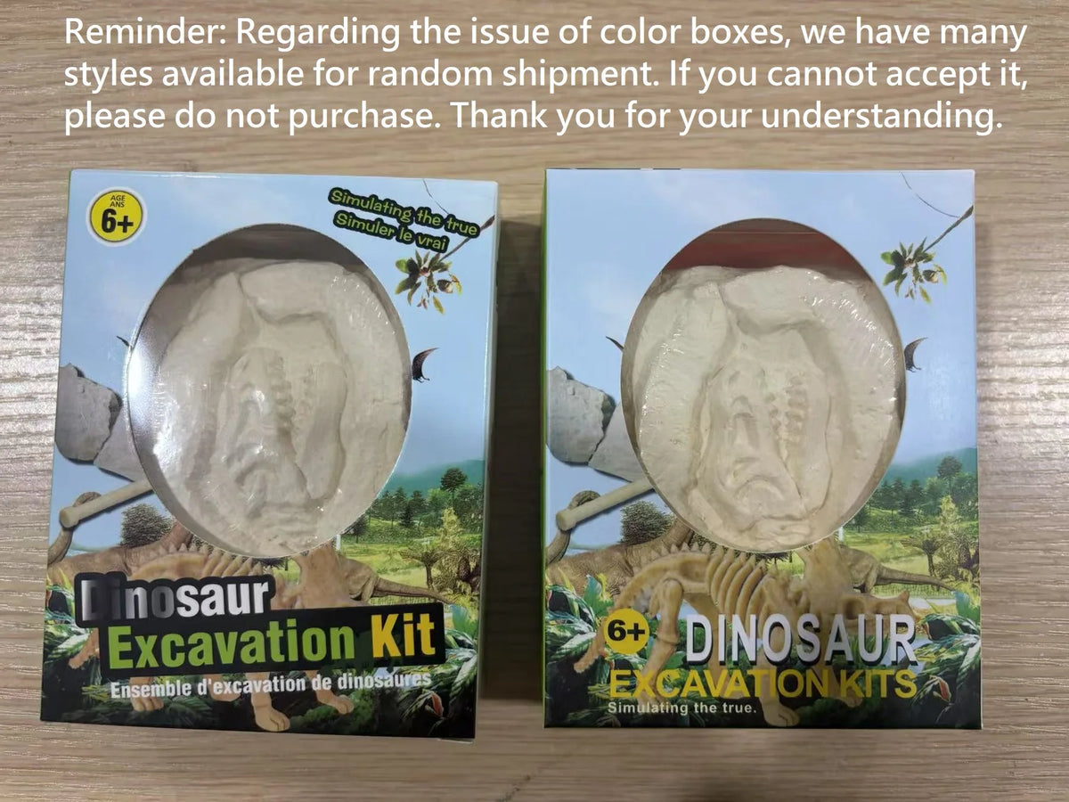 Brinquedo de escavação e montagem de fósseis de dinossauros