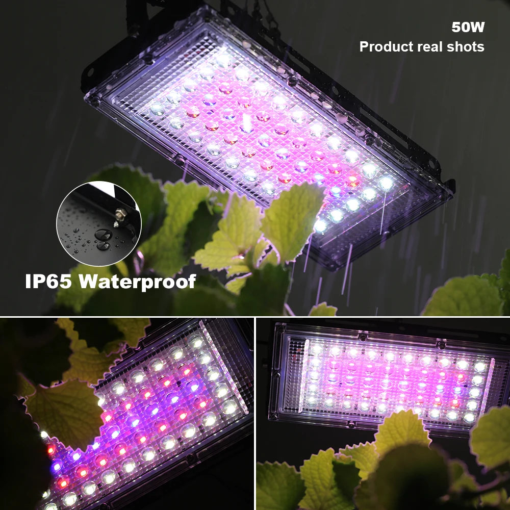 USB LED Grow Light with Adjustable Brightness