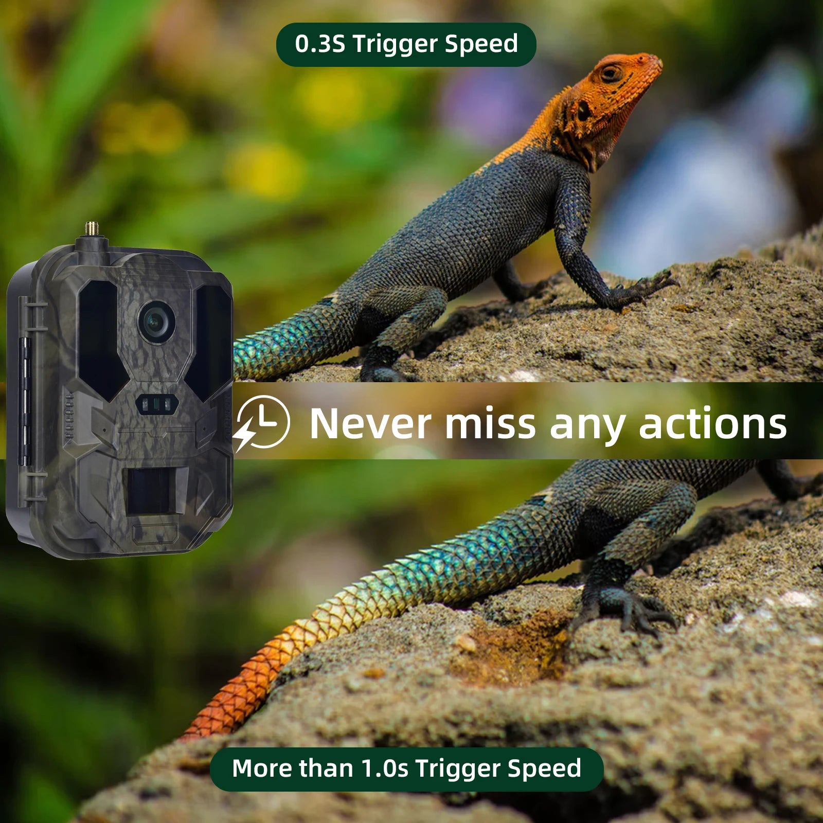 4K 4G Wildlife Trail Camera with 0.2s Trigger and Night Vision