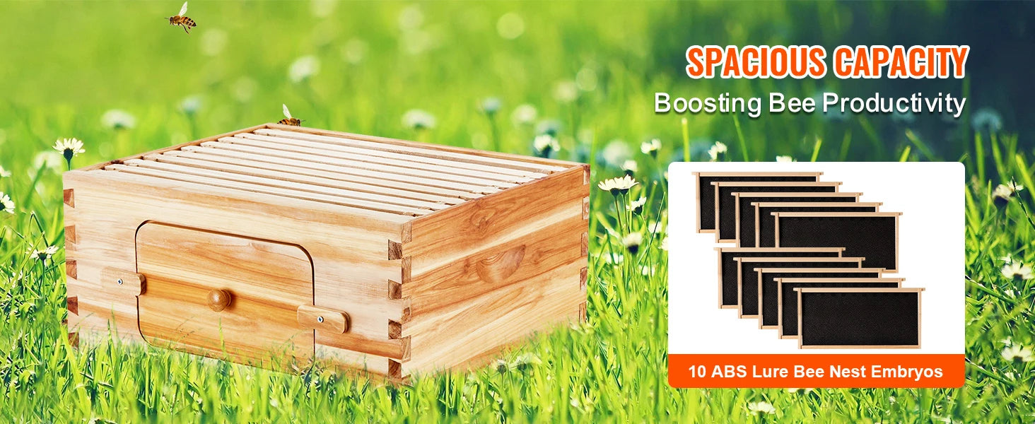 Kit di avviamento SucceBuy Bee Hive Deep Box 100% rivestito di cera d'api Naturale in legno di cedro Langstrothabox Beehive Kit in acrilico trasparente