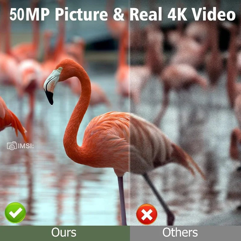 Solar Wildlife 50MP 4K Video Trail Camera Night Vision 0.3s Motion Activated Waterproof Garden Camera Outdoor Hunting Monitoring