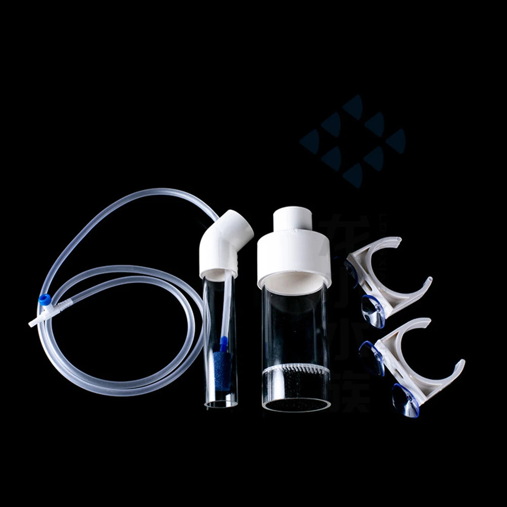 Akvarieäggskupol – 40 mm kammare