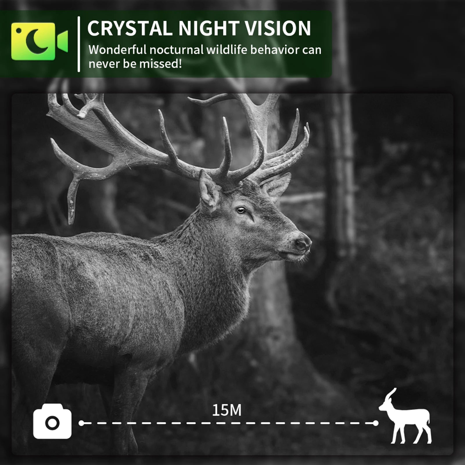 4G Trail Camera 8K Video, 60MP Images, 120° PIR