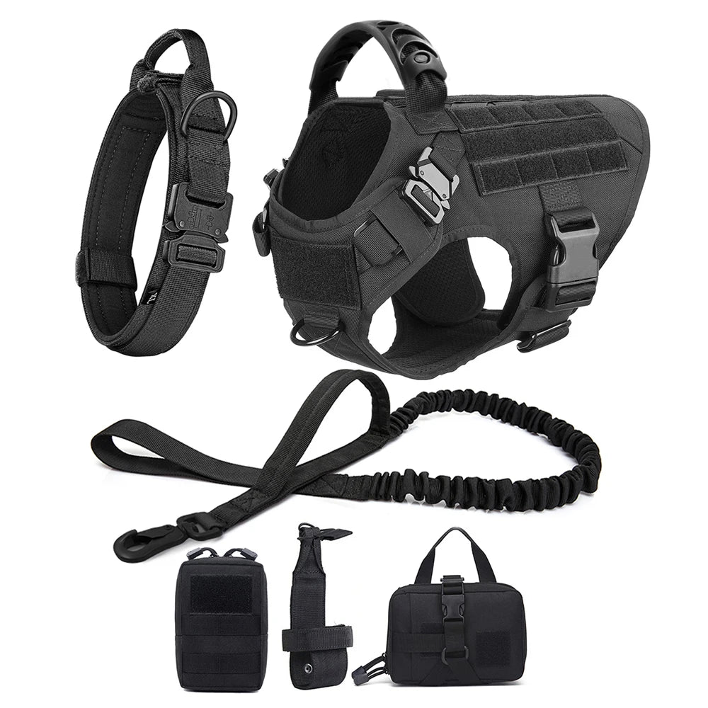 Large Dog Harness and Leash Set for Training and Walking