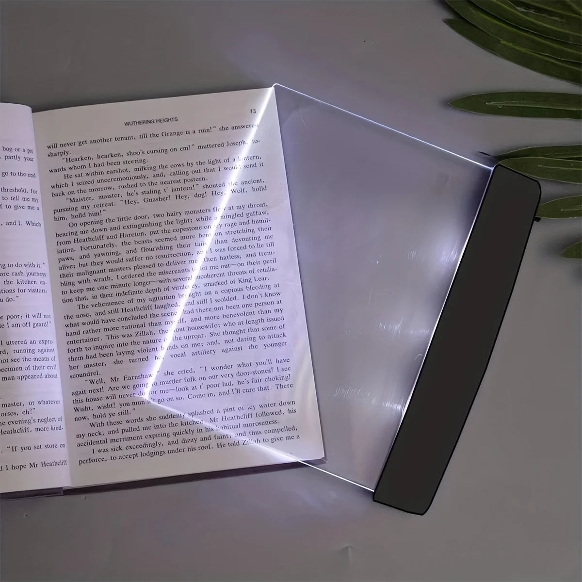 Battery LED Book Light with Warm Amber Reading Glow