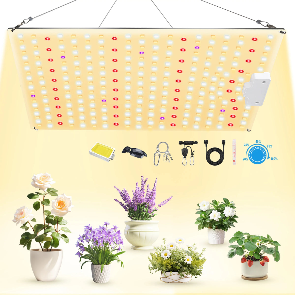 LED Plant-Light Panel, Model and Plug Options