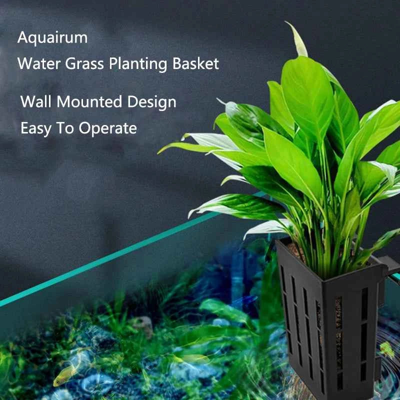 Hanging Aquarium Plant Basket