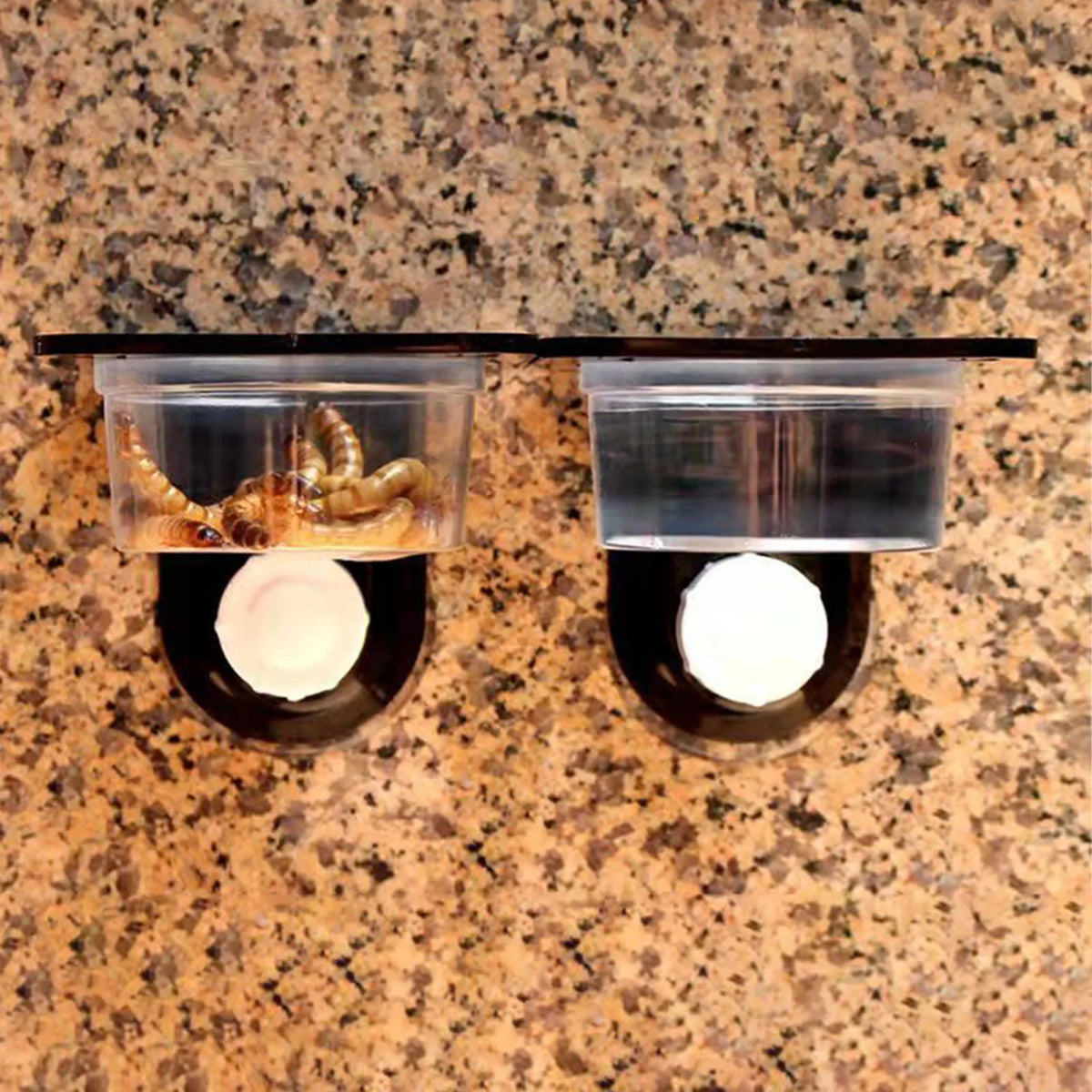 Захващаща се на вакуум Gecko Feeding Ledge — единична или двойна чиния