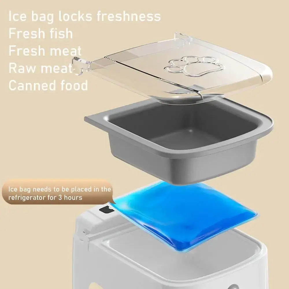 Timed Automatic Pet Feeder