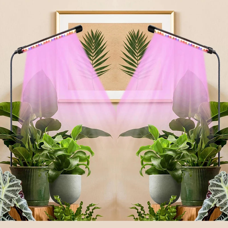 USB Gooseneck Plant Lamp, Timer and Pack Options