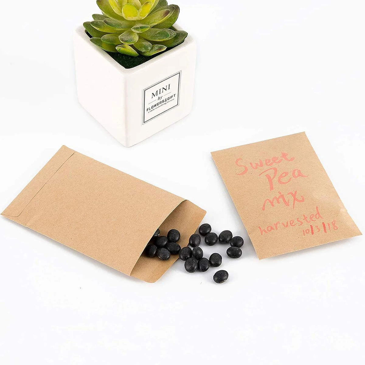 Envelope de sementes de papel — 6 × 10 cm