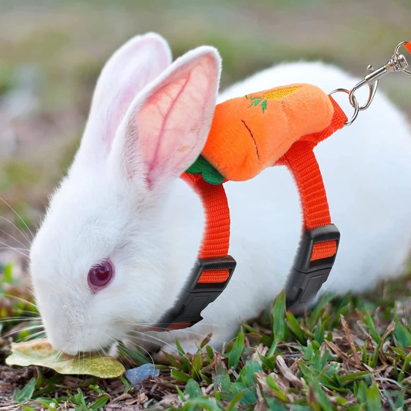 Walking Bunny Guinea Pig Harness for Small Animals Cute Pet Rabbit Harnesses and Leash Set Chinchilla Pigs mascotas Accessories