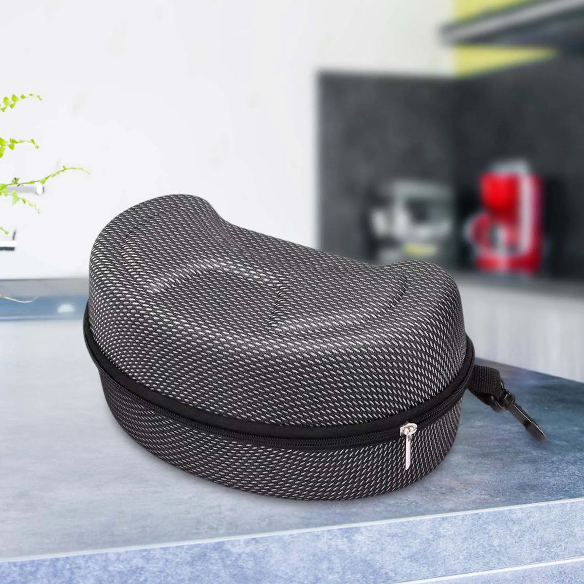 Ski Goggle Storage Case