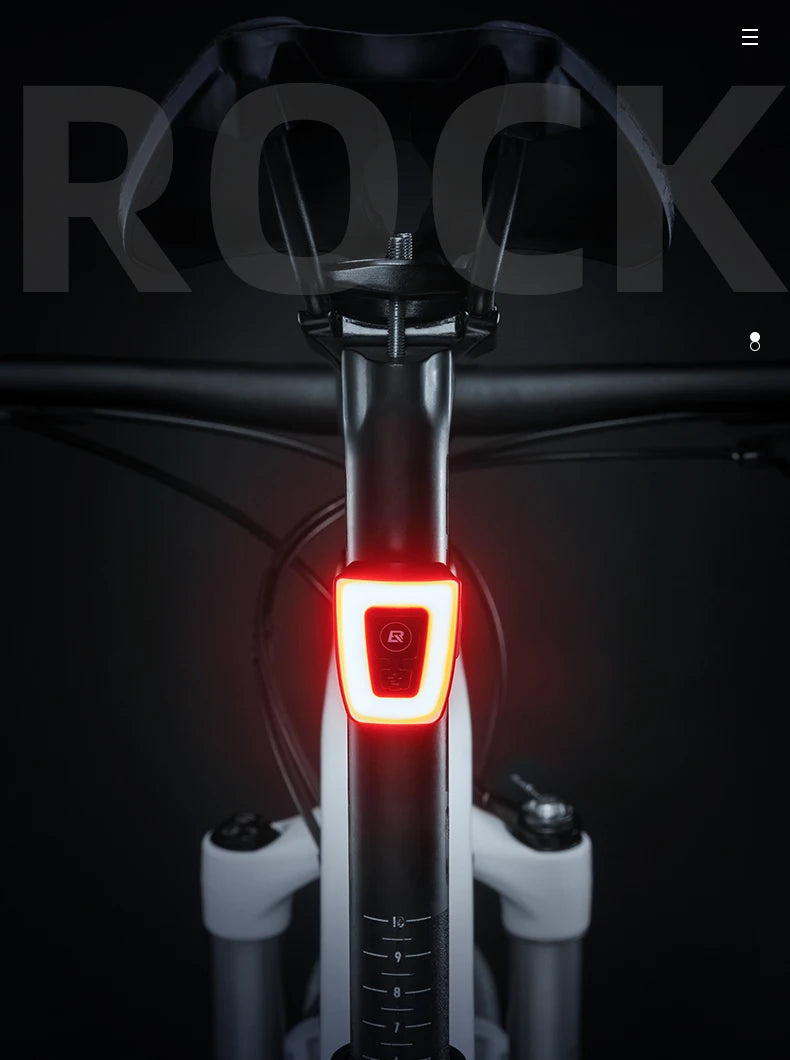 USB Rechargeable Bike Tail Light with 9 Modes Waterproof LED