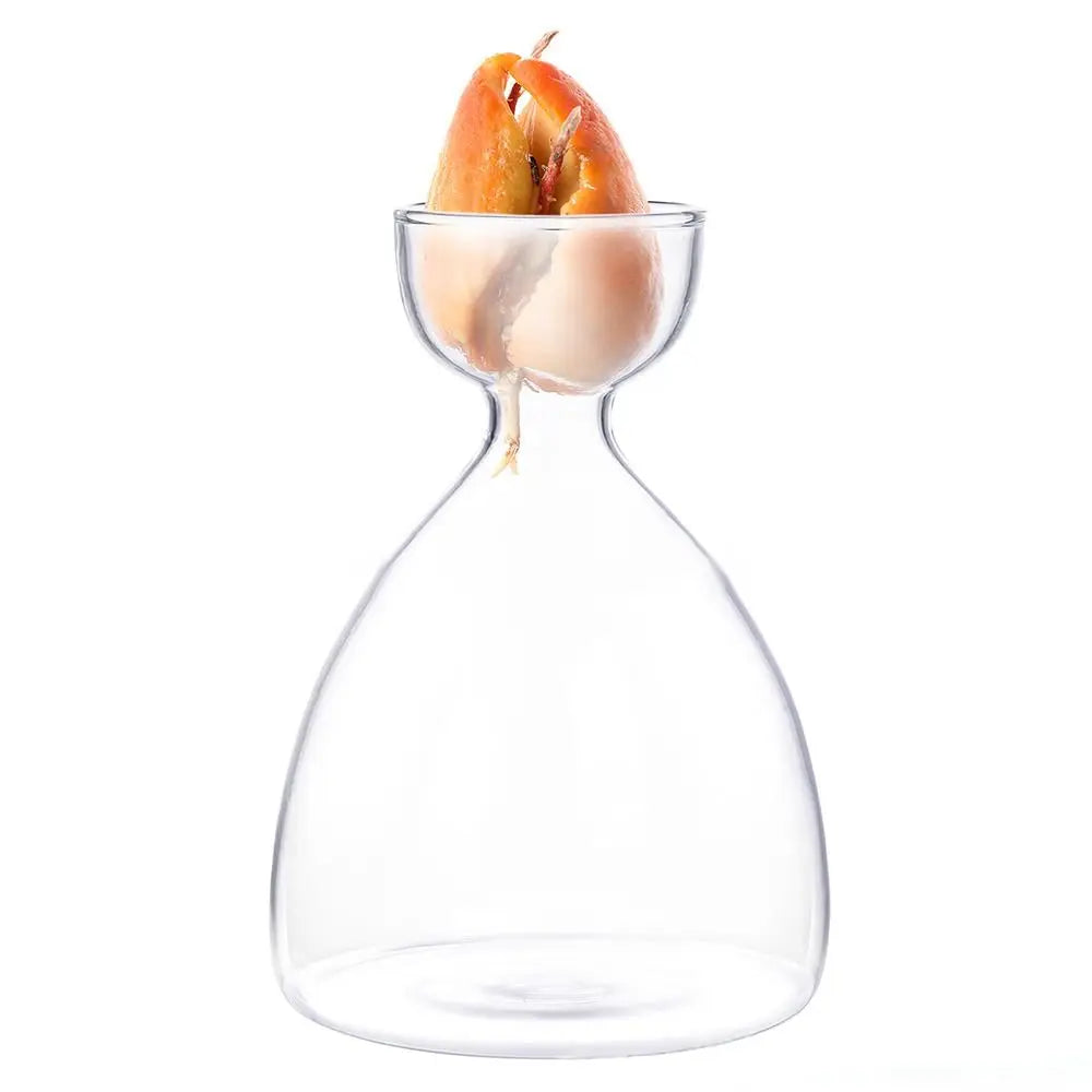 Glass Avocado-Seed Starter Vase, Shape Options