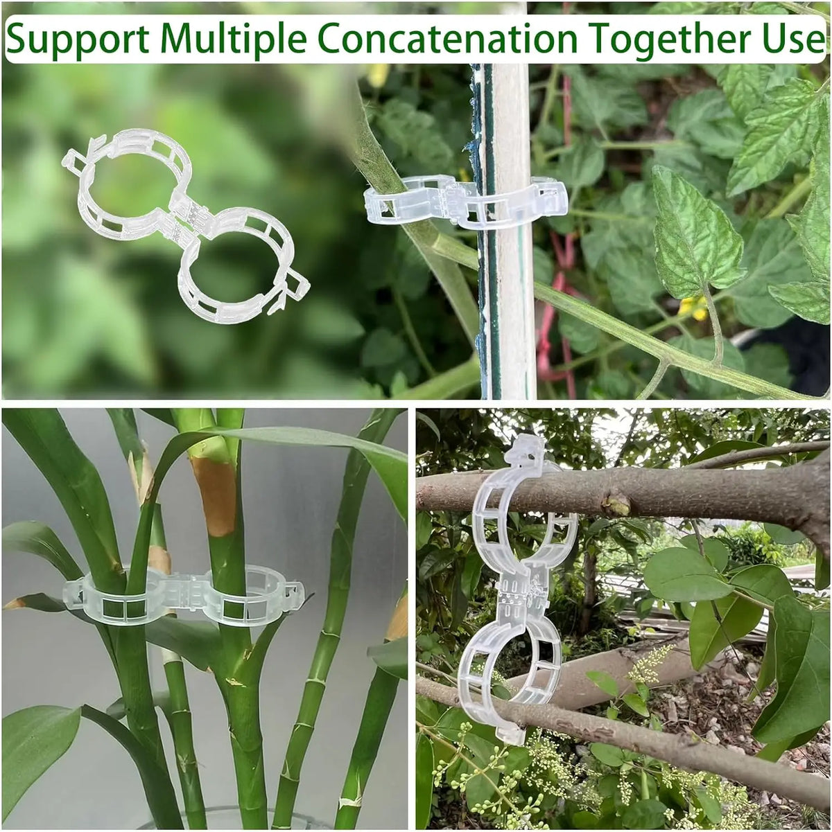 Clips en plastique pour tomates et plantes grimpantes, 50 ou 100 pièces