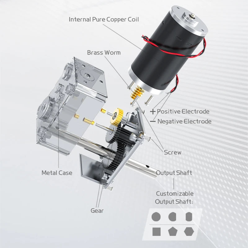 5840-31ZY DC Worm-Geared Motor, 12/24V Options