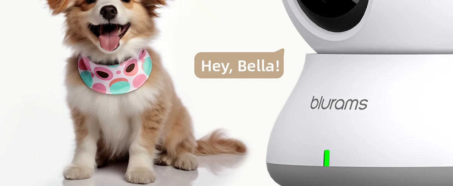 2K Indoor Security Camera 360° PTZ with App, Night Vision & Talk