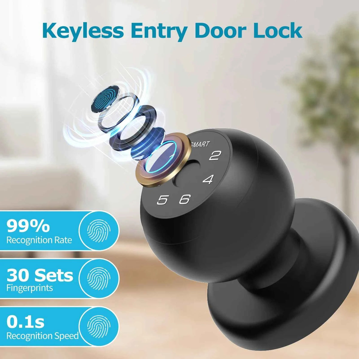 Bluetooth Fingerprint and Keypad Door Lock