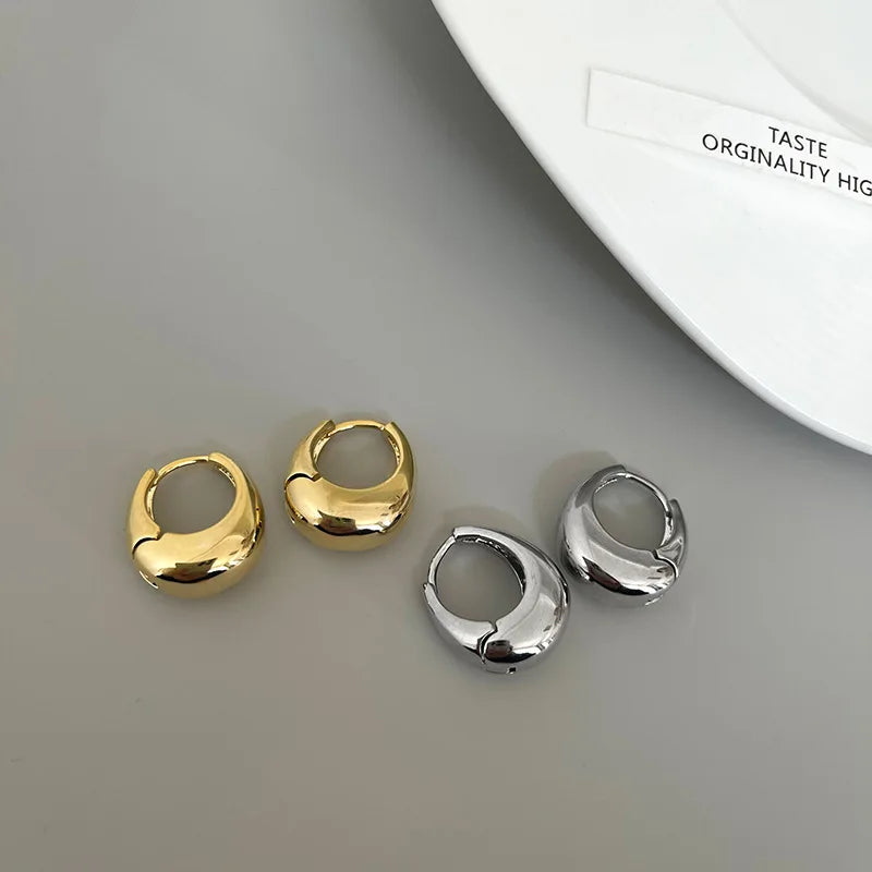 Punk Oval Hoop Earrings in Minimalist Metallic Style