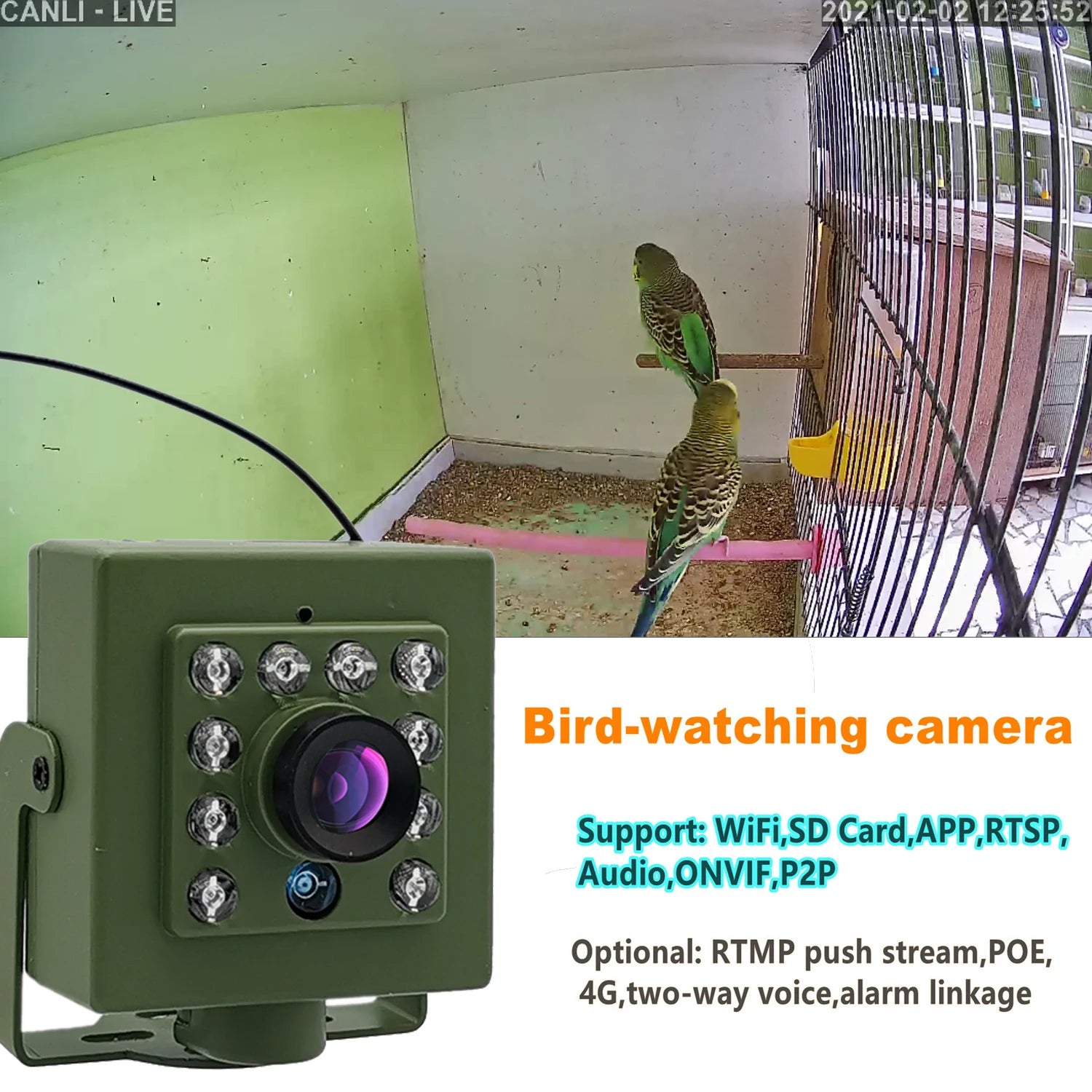 Green WiFi Bird Box Camera Kit with Night Vision