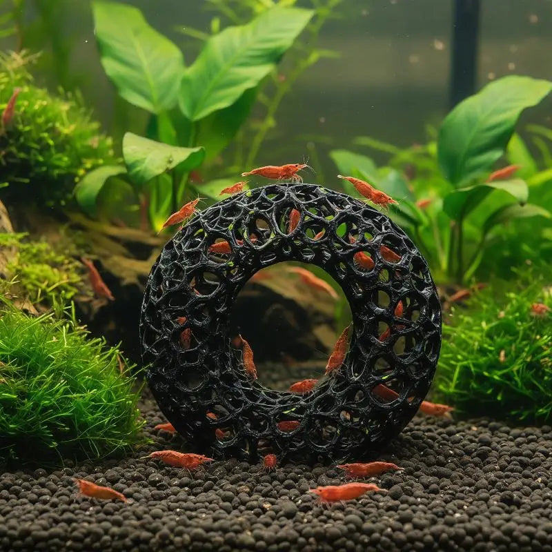Obročast akvarijski zaščitnik za rakle — 8 cm