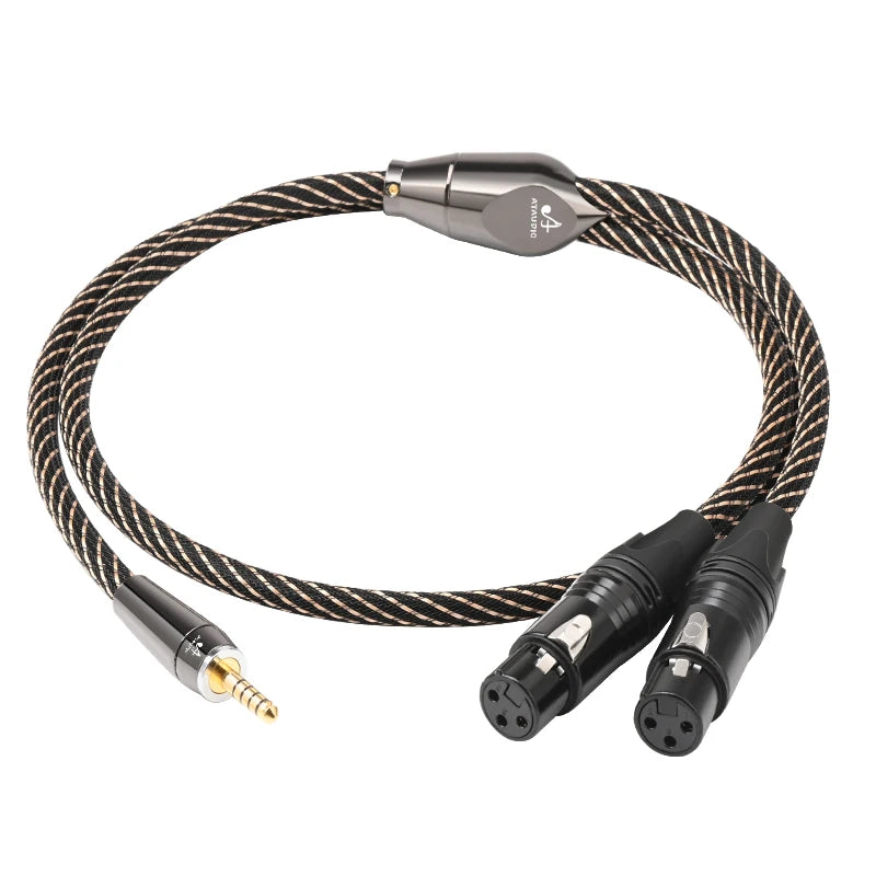 Câble équilibré 4,4 mm vers double XLR pour audio HiFi et usage studio