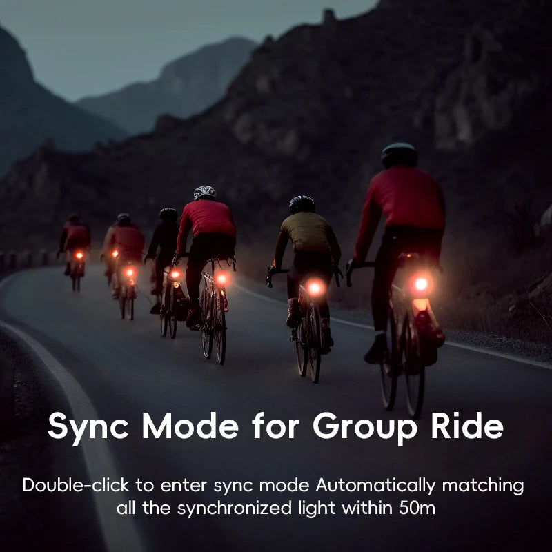 Smart Bike Rear Light with Brake Sensing & Sync Mode