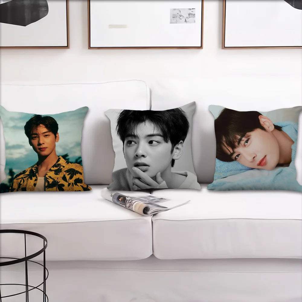 Cha Eun Woo Cushion Cover, Square Printed Pillow Case 30-70 cm