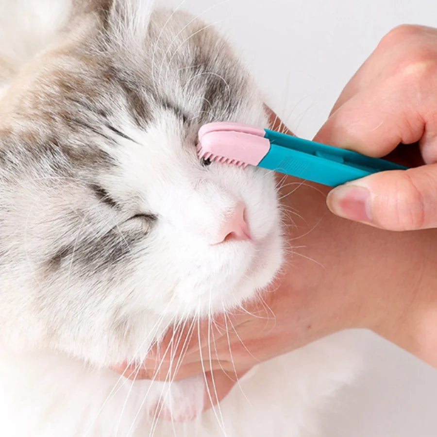 Strumenti di toelettatura per animali Pettine occhi gatto Penna per lacrime riga pulizia pennello per piccoli gatti cani