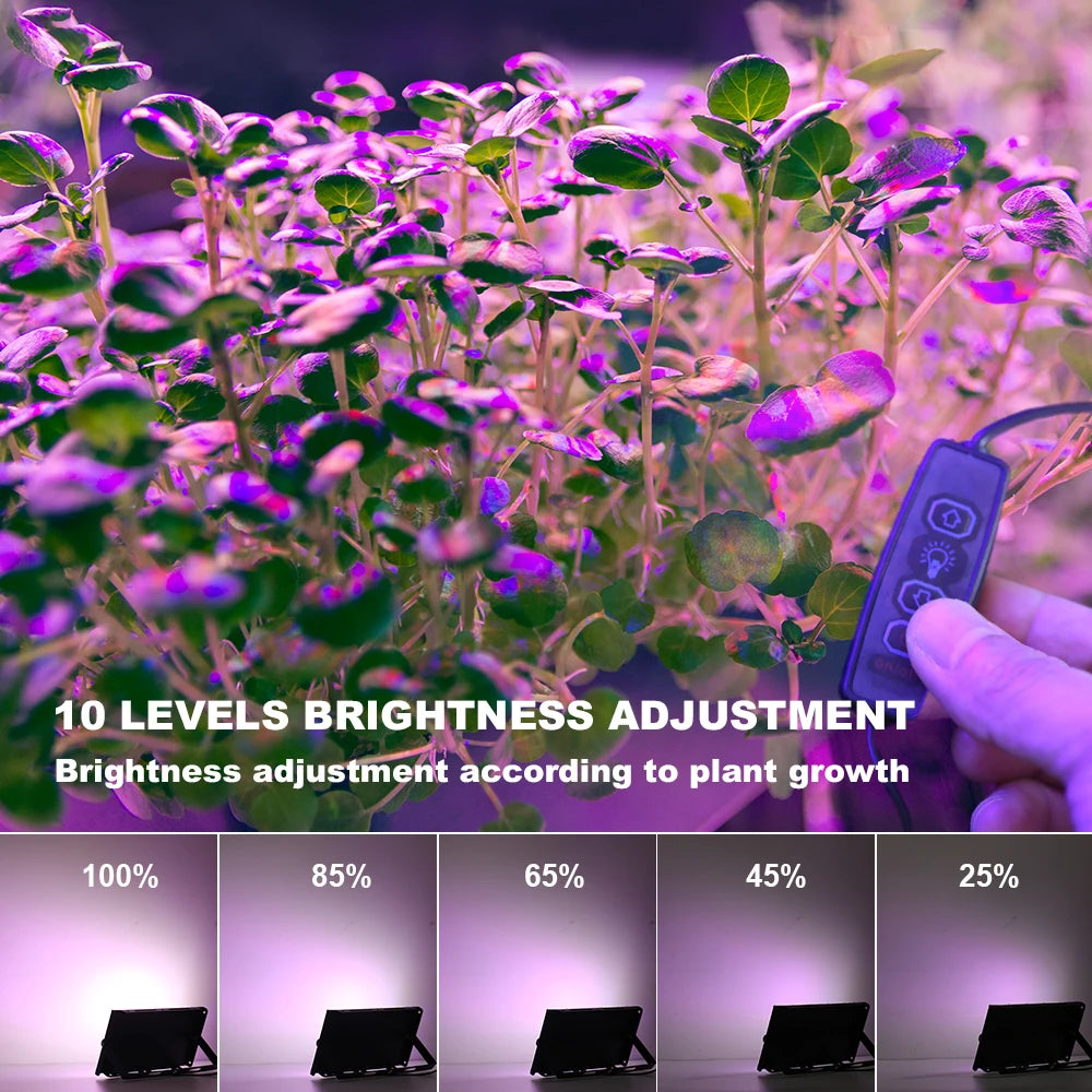 USB LED Grow Light with Adjustable Brightness