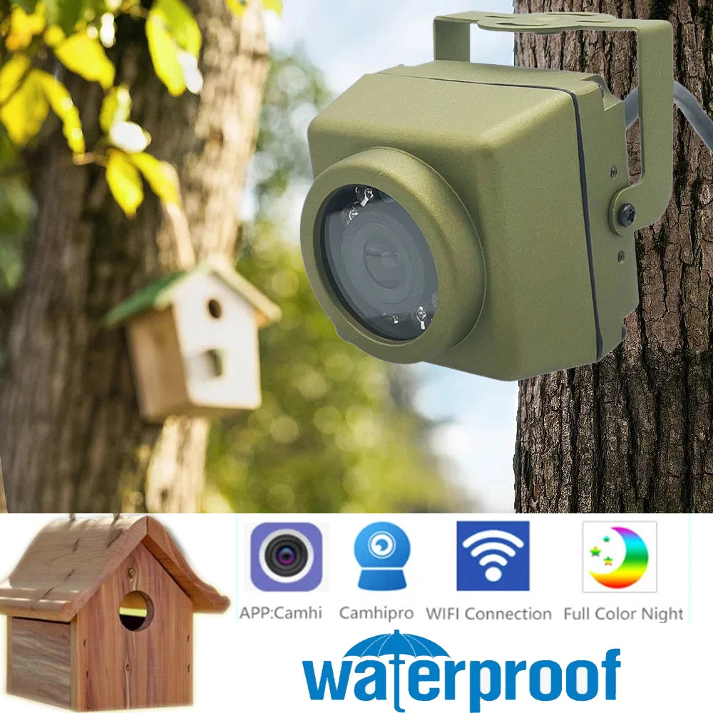 Kit de cámara para aves al aire libre 5MP con WiFi y visión nocturna