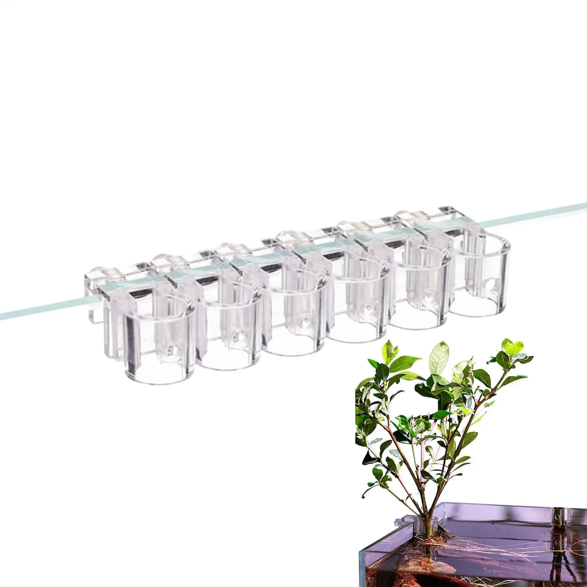 Six Clear Aquarium Plant Holder Cups with Hanging Brackets