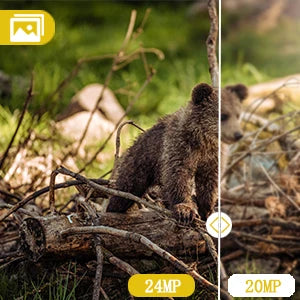 36MP 2K Trail Camera with 120° Detection and No Glow Night Vision