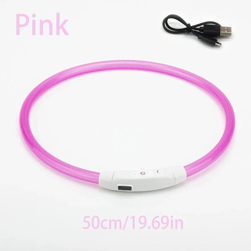 Collar de mascota con LED recargable por USB