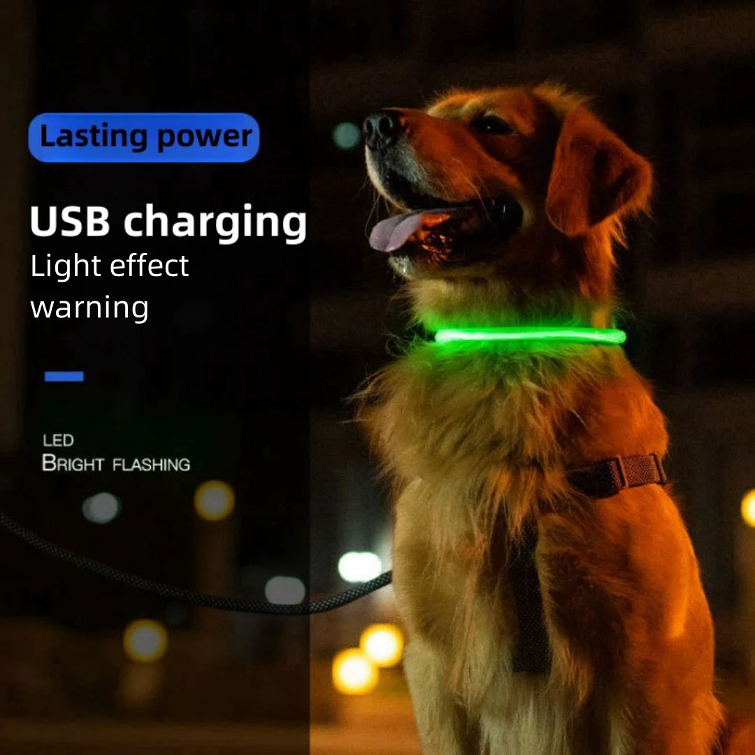 Collar de mascota con LED recargable por USB