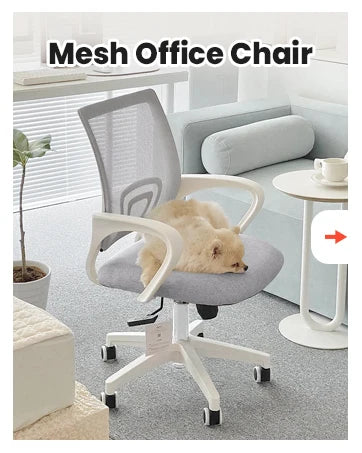 Black Mesh Office Chair with Lumbar Support, Swivel & Adjustable Height