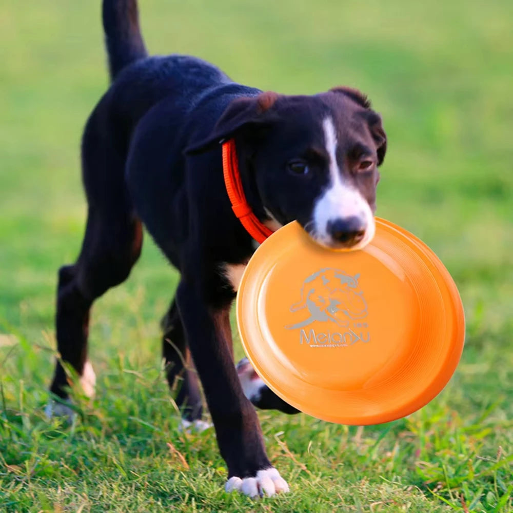 Round PE Dog Training Disc for Fetch Games