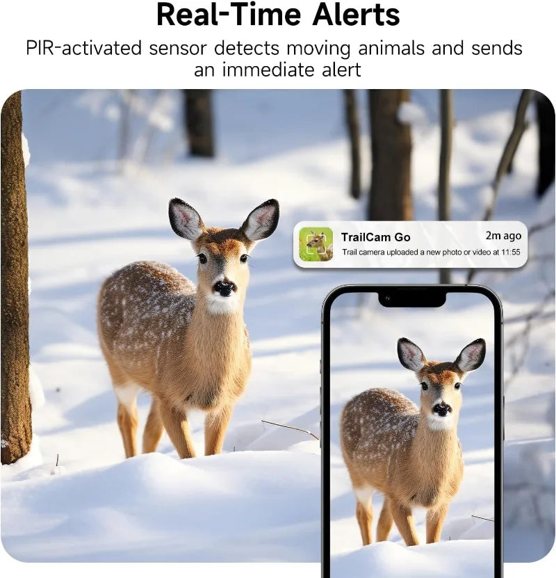 4K 4G Wildlife Trail Camera with 0.2s Trigger and Night Vision