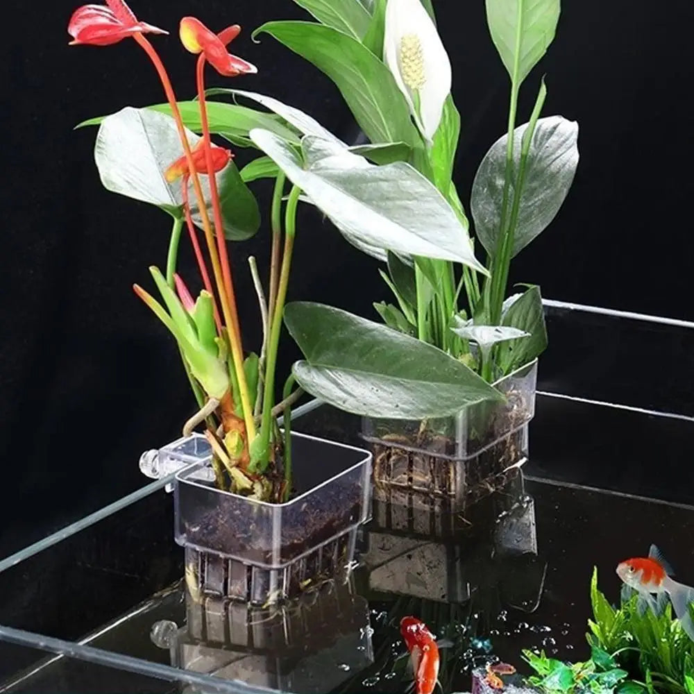 Clear Hanging Aquarium Plant Basket