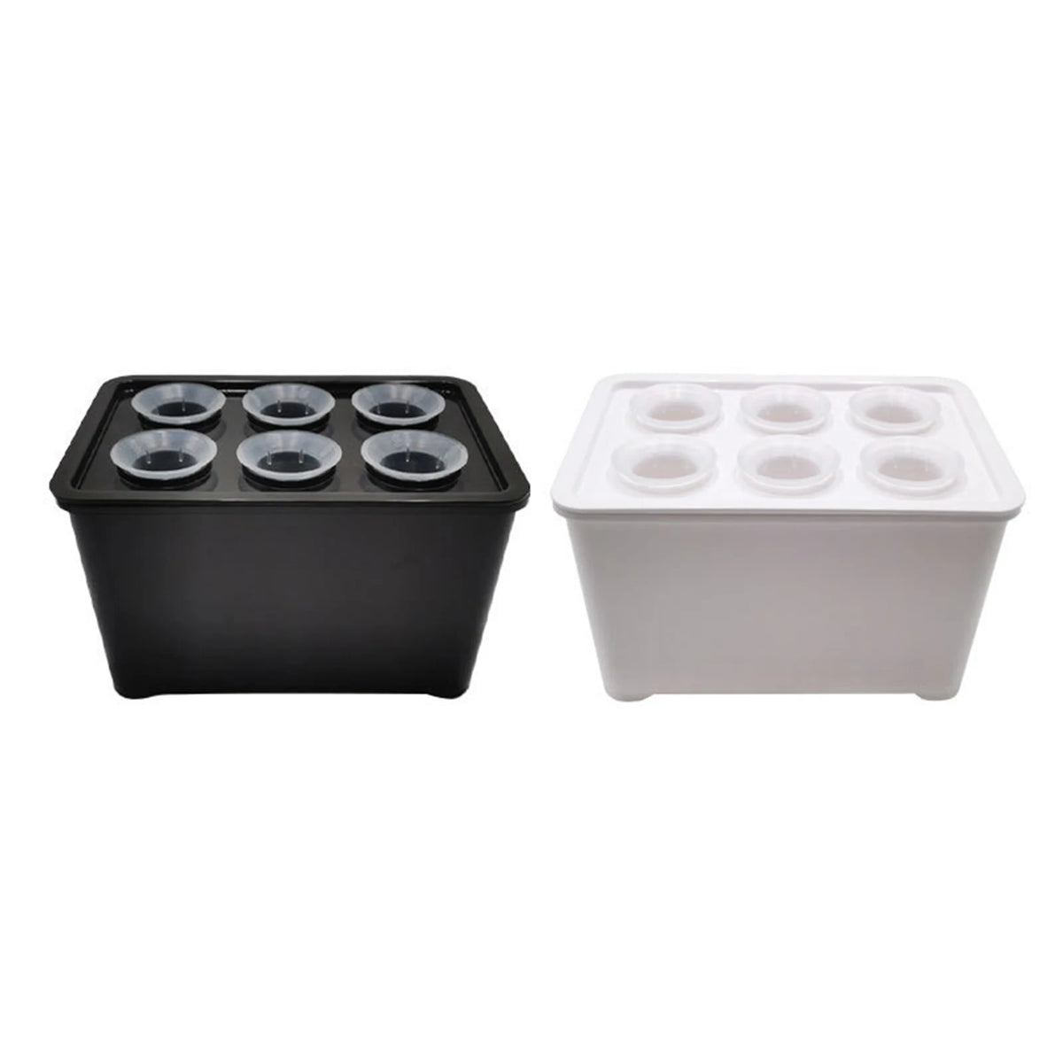 Six-Cup Hydroponic Seedling Box