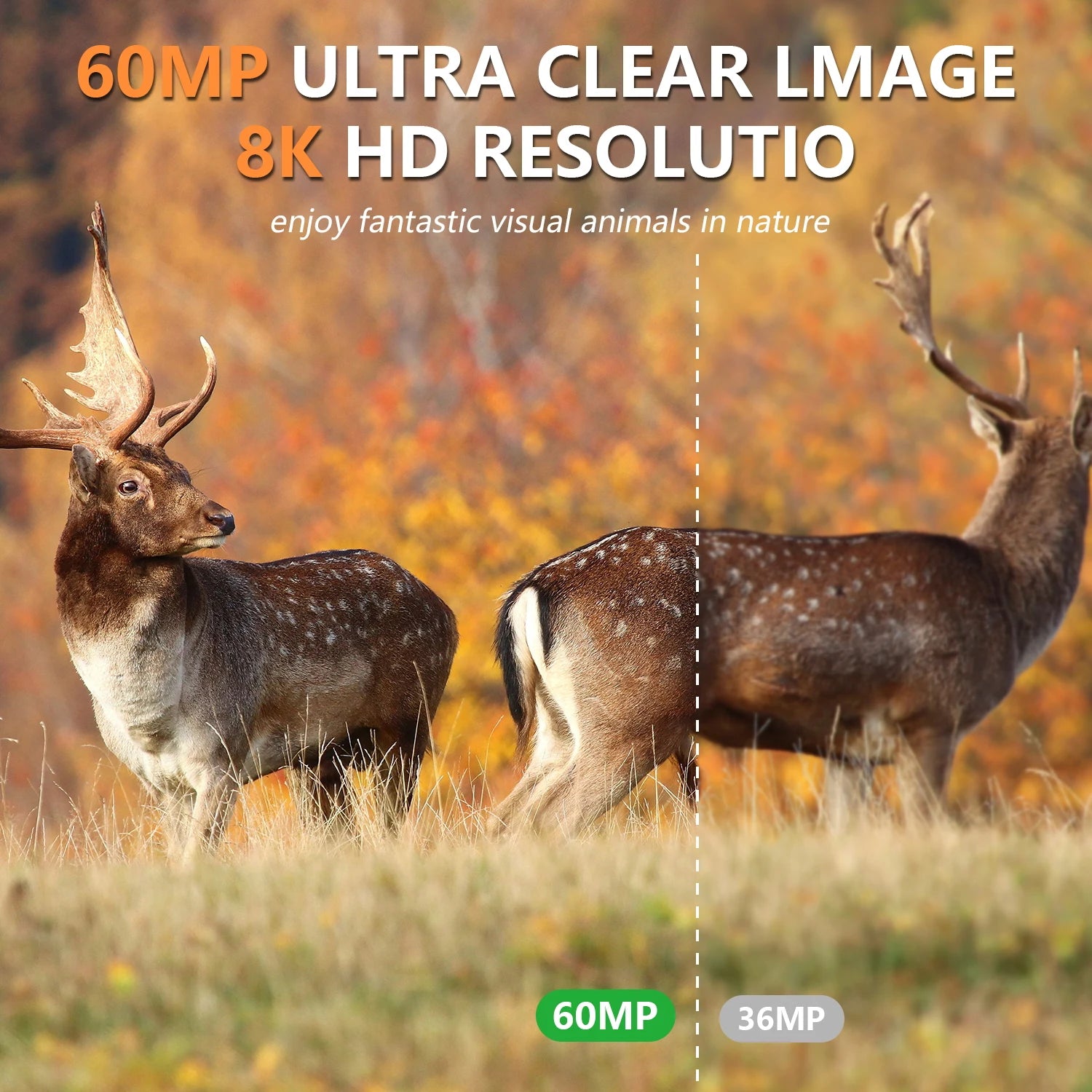 Solar Powered Trail Camera with 8K Video and 60MP Photos