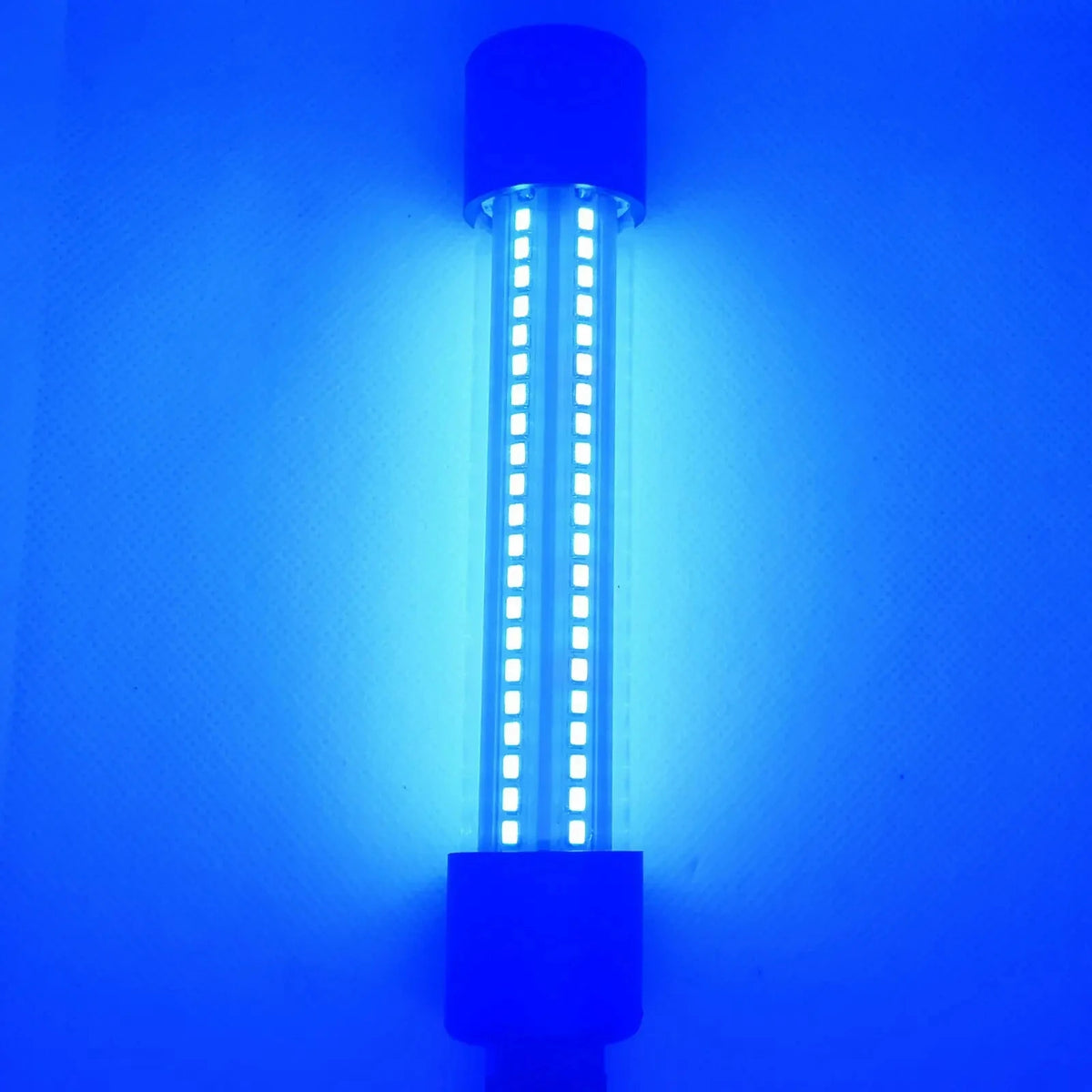 Luz LED sumergible para pesca de 20 W con cable de 5 m