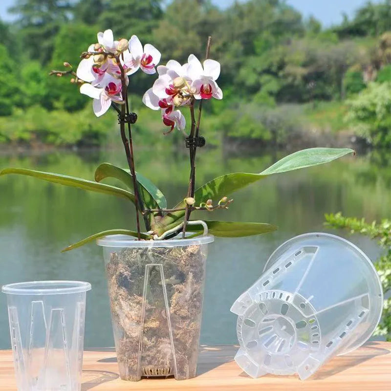Clear Ventilated Plant Pot with Tray, Options