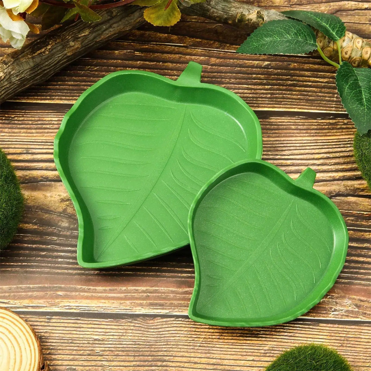 Leaf-Shaped Reptile Food or Water Dish, Small or Large