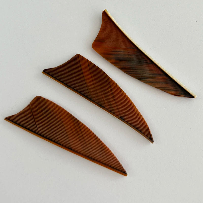50 Plumillas de pluma de pavo de alas derechas — 2 pulgadas